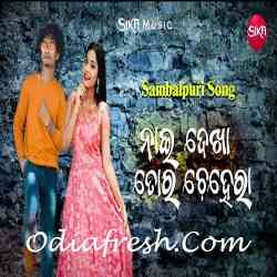 Nai Dekha Tora Chehera